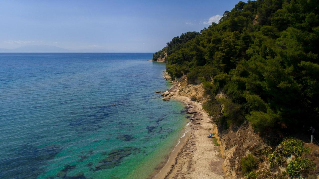 Aphrodite Ideal For Holidays In Appartement *